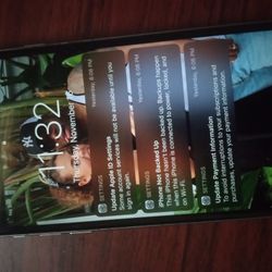 iPhone 6s Pro