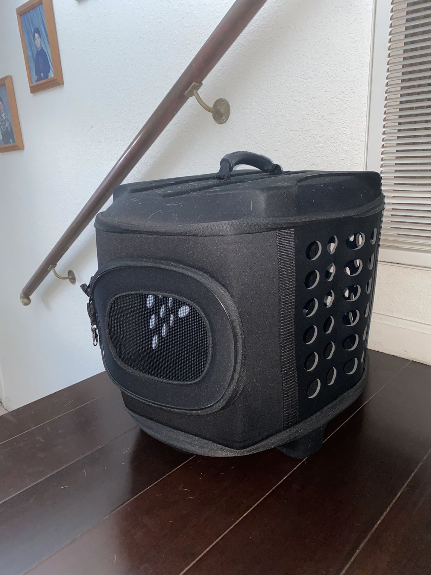 Collapsible Dog/cat Carrier 0-20lbs