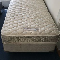 Sealy Firm Twin Bed w/ Box Spring & Bed Frame 