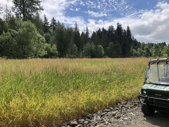 Hay For Free - U-Cut near Scott Lake