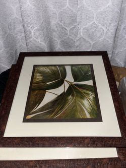 Tropical Hanging Pictures