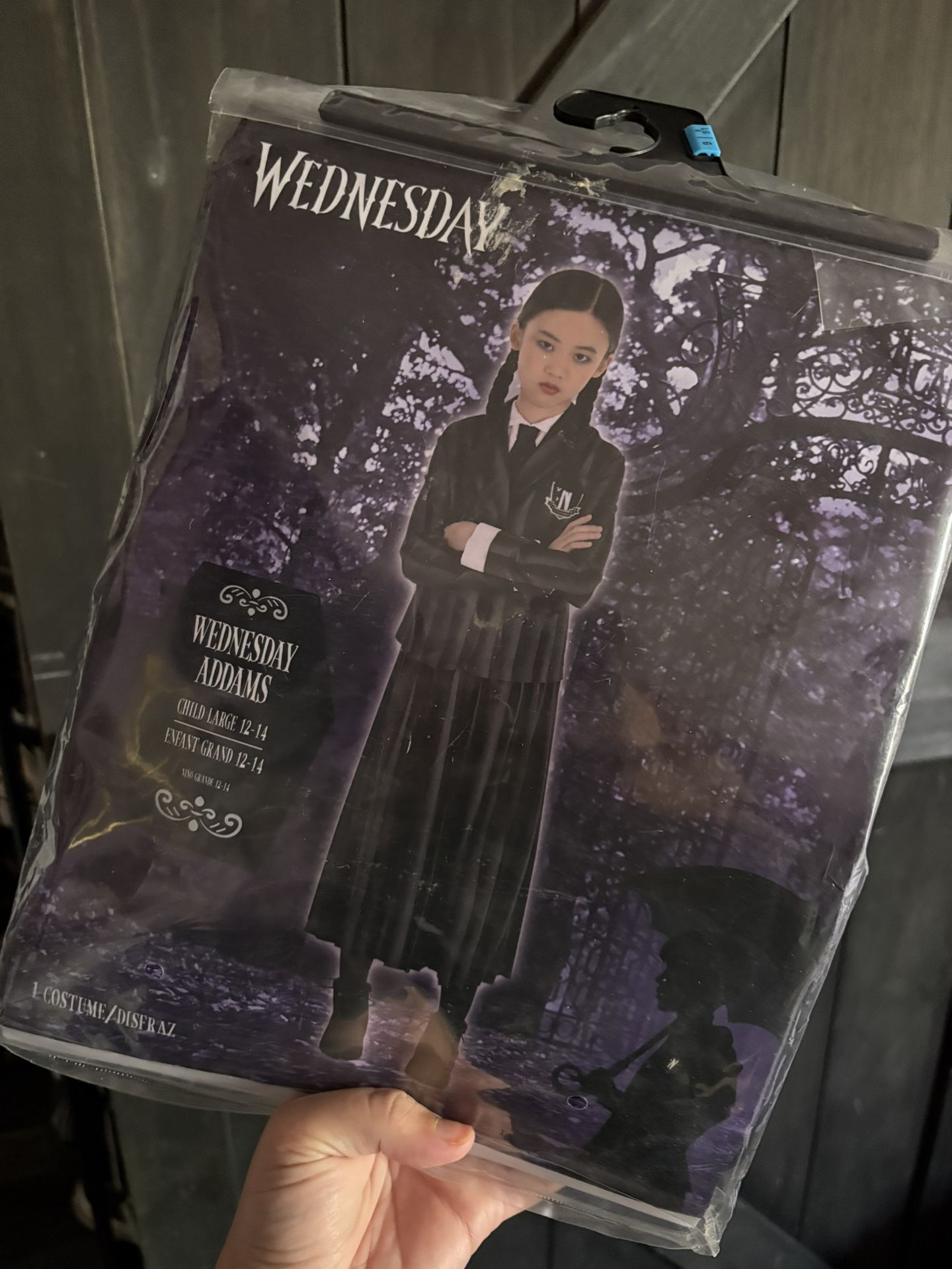Wednesday Costume 