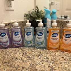 Dial Hand Soap 
