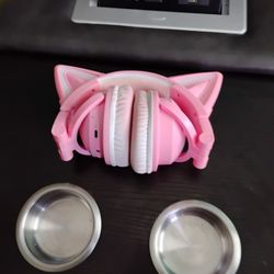 Cat Ear Headphones 