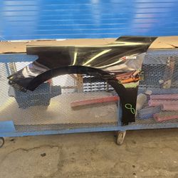 Integra 2022 2023 2024 2025 Fender