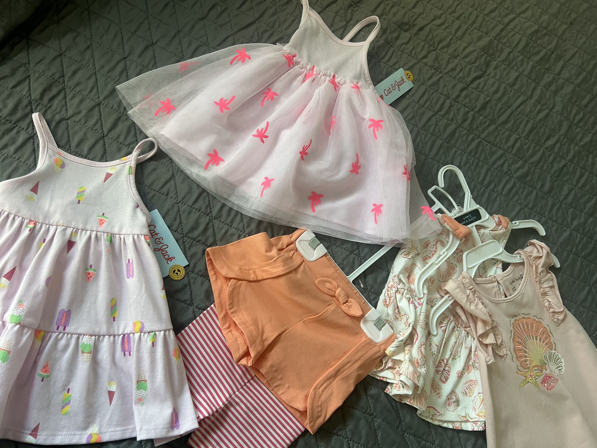 12 Months New Bundle
