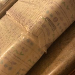 Kirkland Diapers