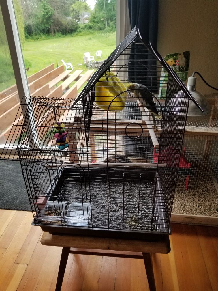 Cockatiel cage used for a week 50obo