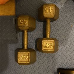 45 Lbs Dumbbells 