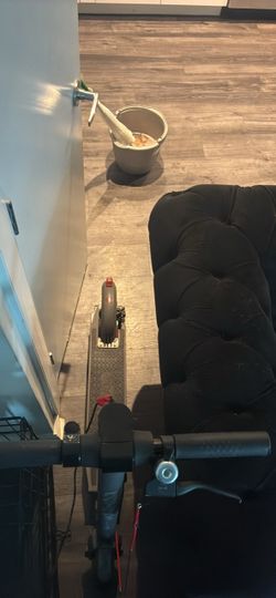 Electric scooter (gotrax)