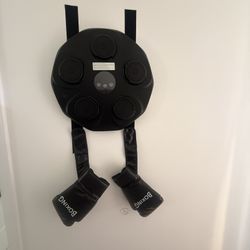 Wall Mounted Boxing 