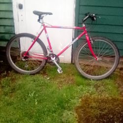 Nice Fast Specialize Bike Tires Like New Rides Nice