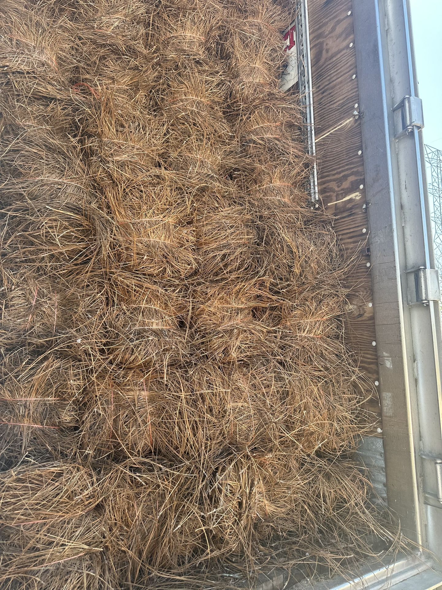 Pine And Wheat Straw 