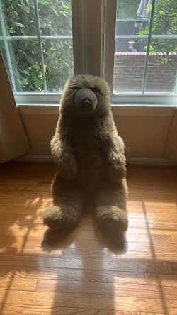 Big brown bear