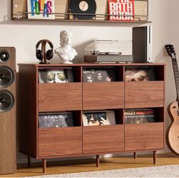 Mid-Century Vinyl Record Storage Cabinet NEW