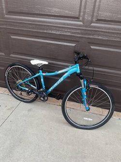 Specialized Rockhopper bike