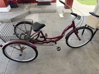 Schwinn Meridian Adult Tricycle