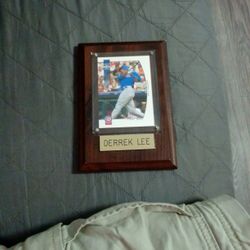 Derrek Lee  framed baseball card