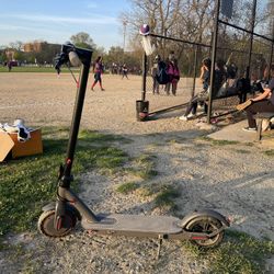 Max shot Electric Scooter