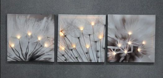 3 piece print with LED lights