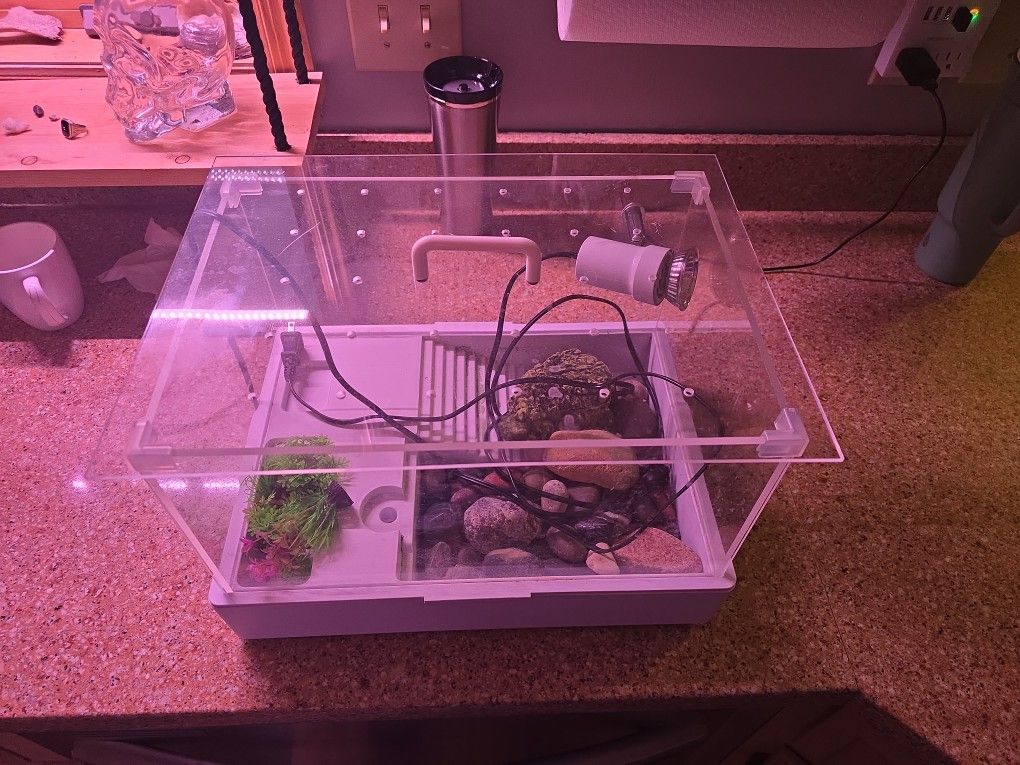 5 Gallon Aquatic Terrarium For Turtle, Frog Or Lizard