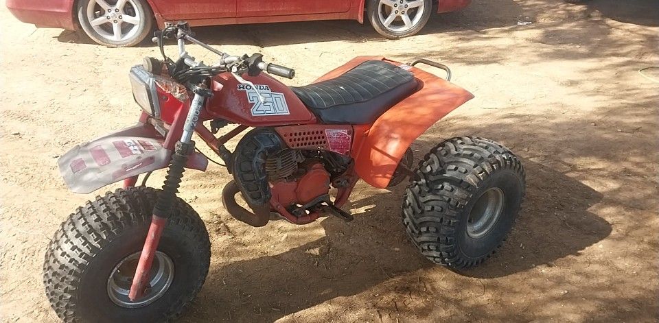 1981 honda 250r