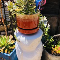 OWL PLANT STAND