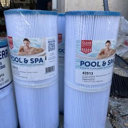 Pool & Spa Filter (42513)