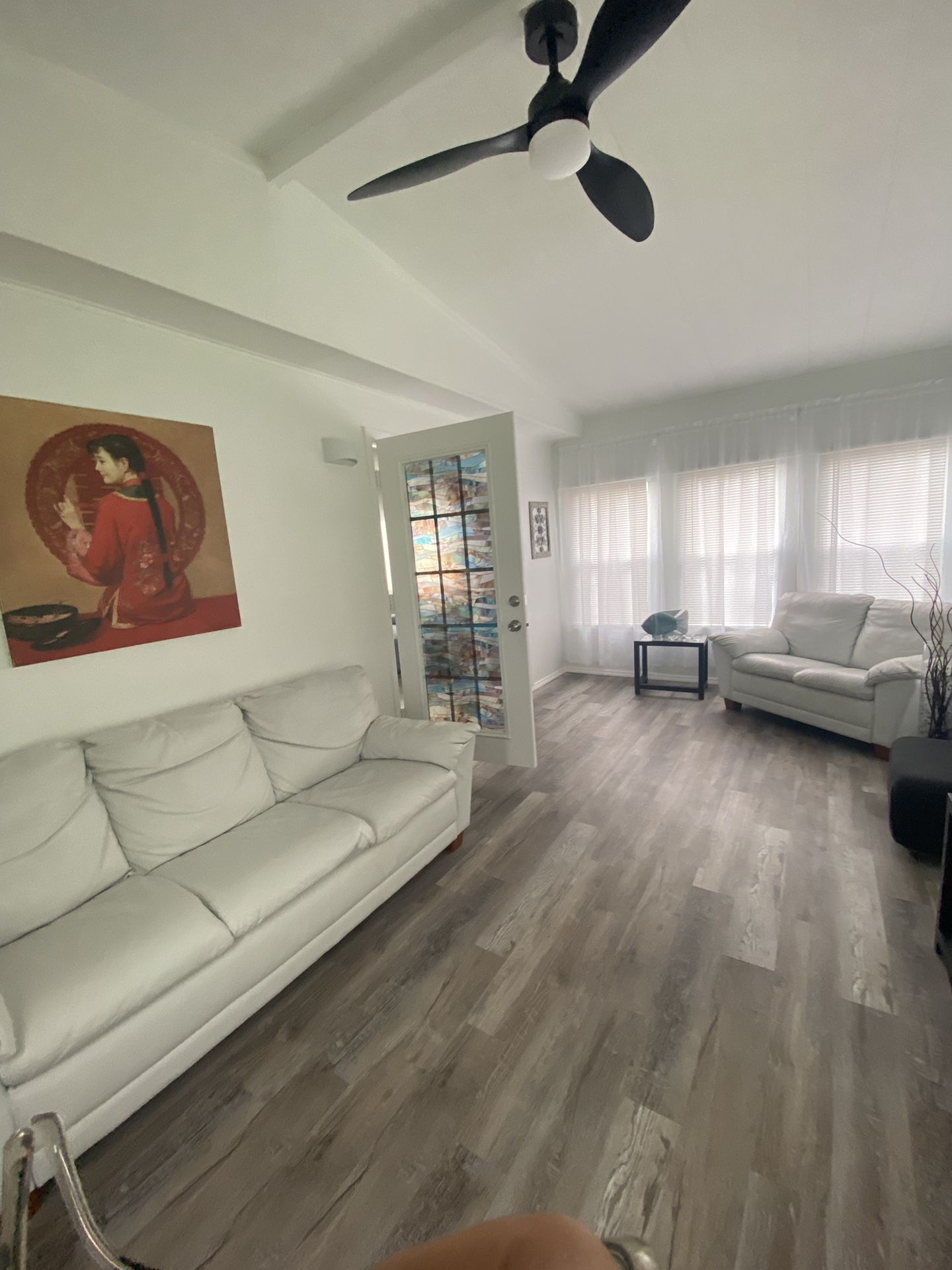 Two Sofas Set