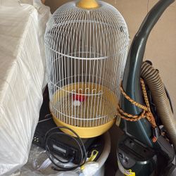 Bird Cage 