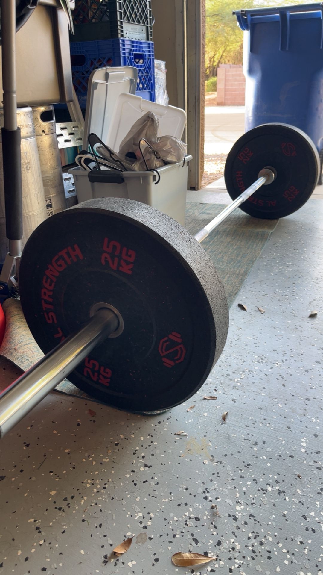 Bumper Plates