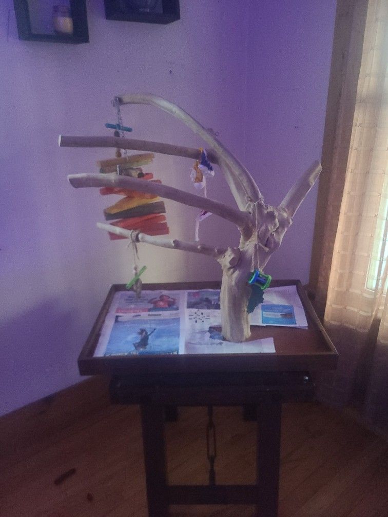 Parrot Perch Tree