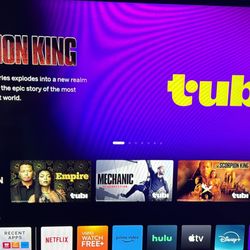 Vizio 40inch D Series TV