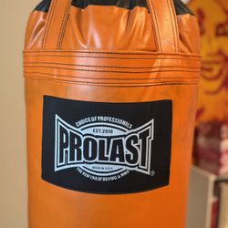 Professional Boxing Heavy bag + Boxing Gloves 