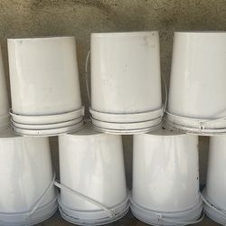 Bucket 5gallon -$1
