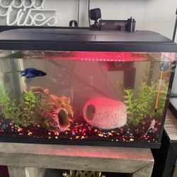 10 Gallon Imagitarium Fish Tank