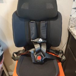 Brand New Pico Portable Car Seat By Wayb