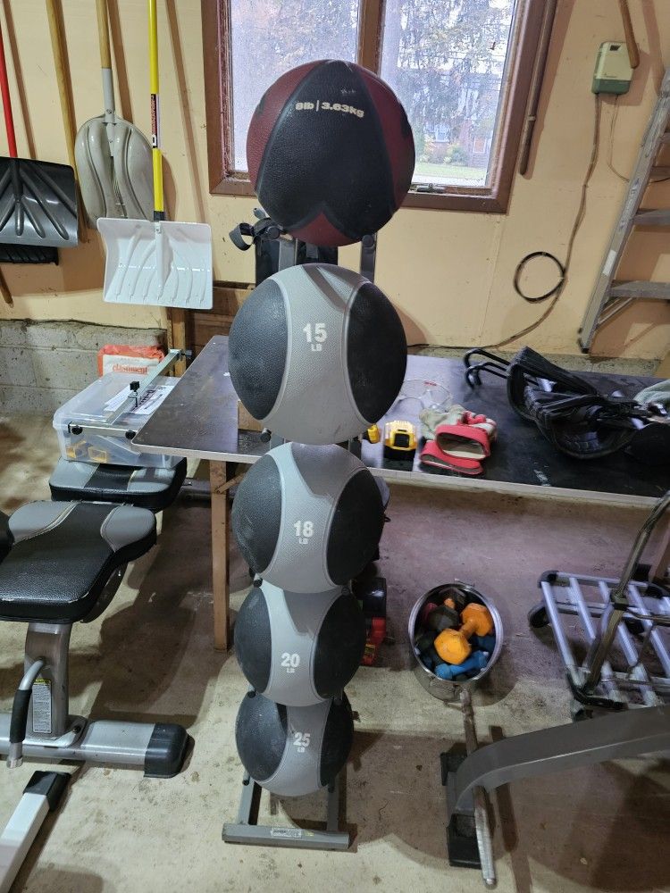 Power systems + Nike medicine balls and stand
