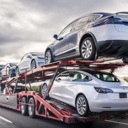 Professional auto* Shipper