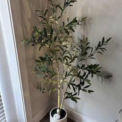 Artificial Olive Tree - 5ft (2 for $60  or 1 for $40) 
