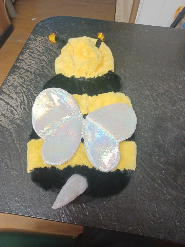 Dog Puppy. Bee Costume Halloween