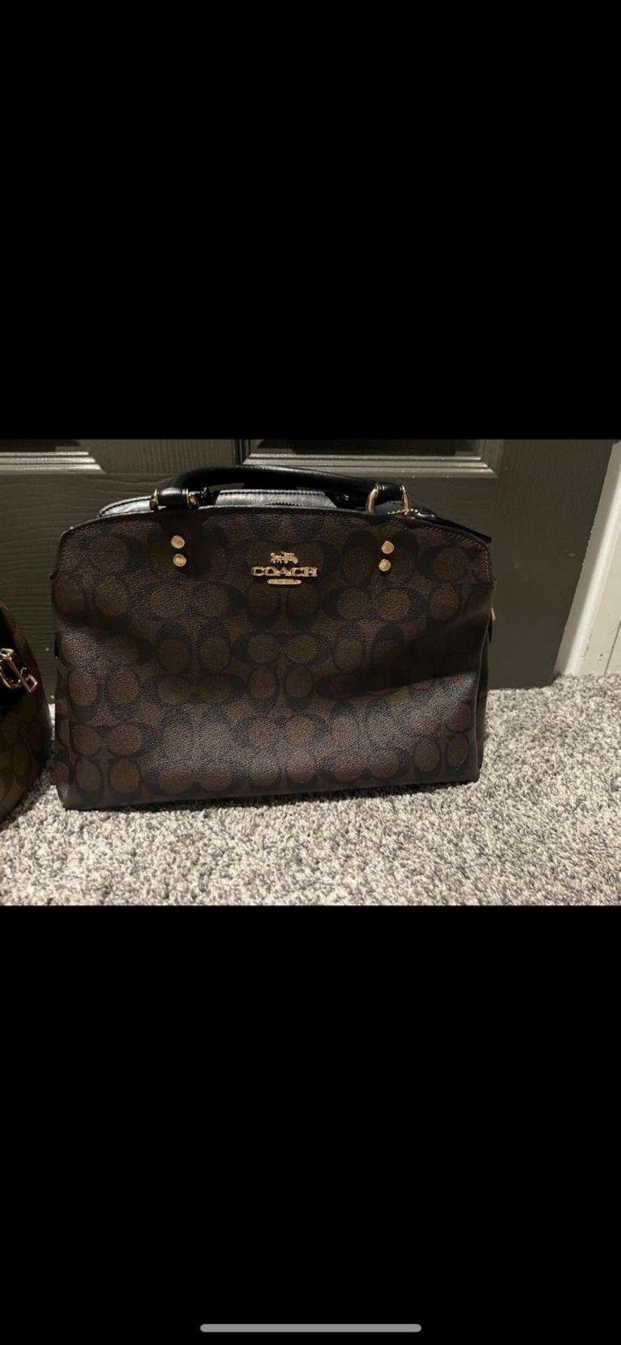 Micheal Kors And Coach Handbags
