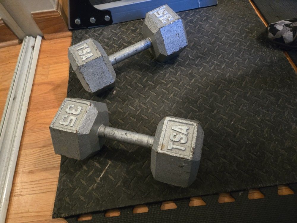 35lb Metal Hex Dumbbells 
