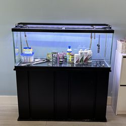 55 Gallon Fish Tank With Stand, Filter And LED Light