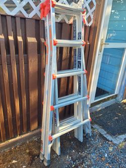 Multi-Position Ladder