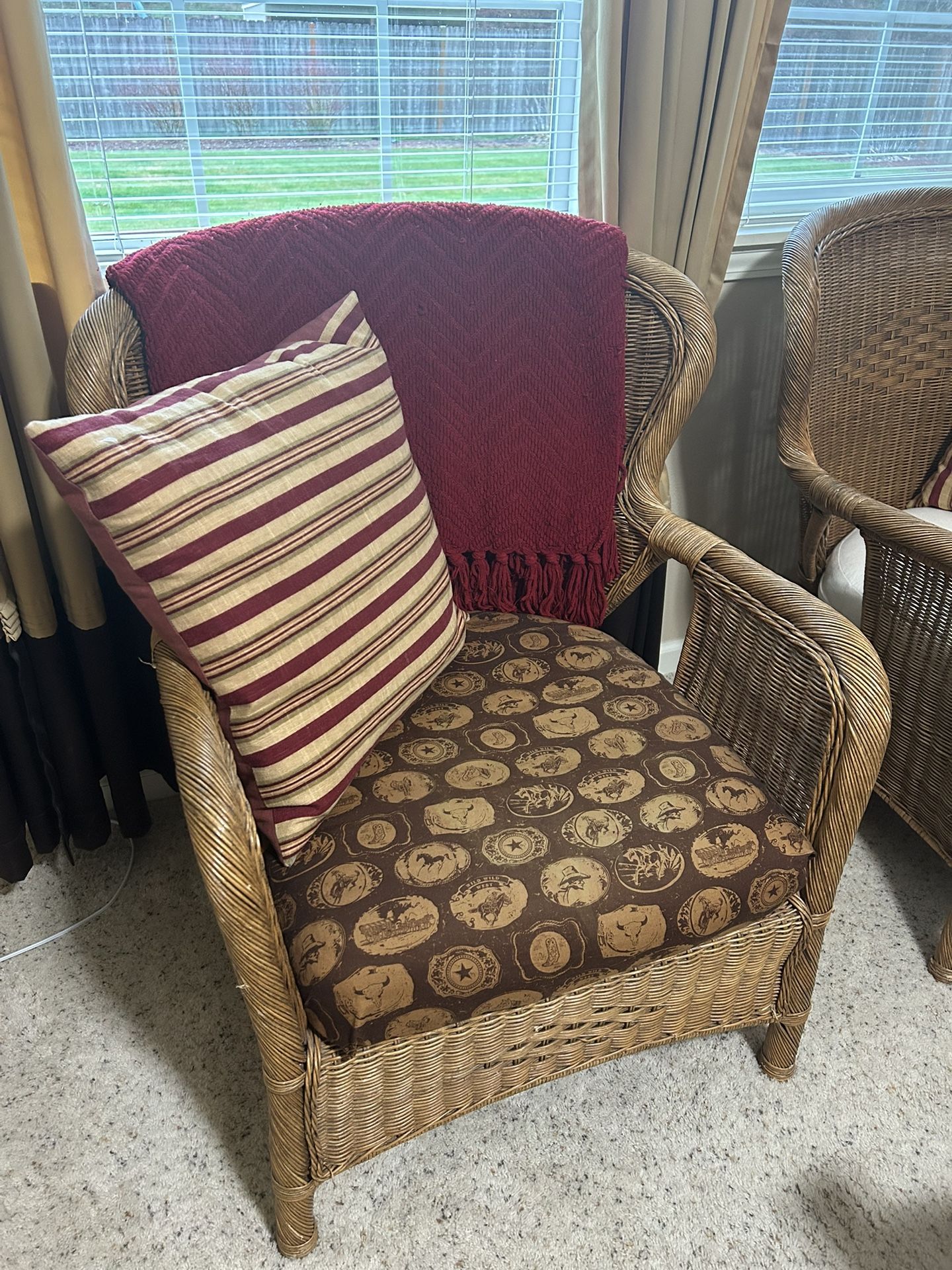 Pier 1 Rattan Chairs