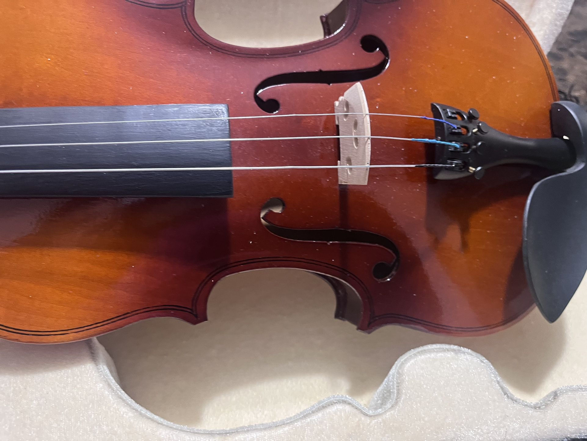 Violin