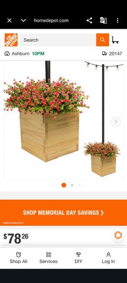 Planters plants