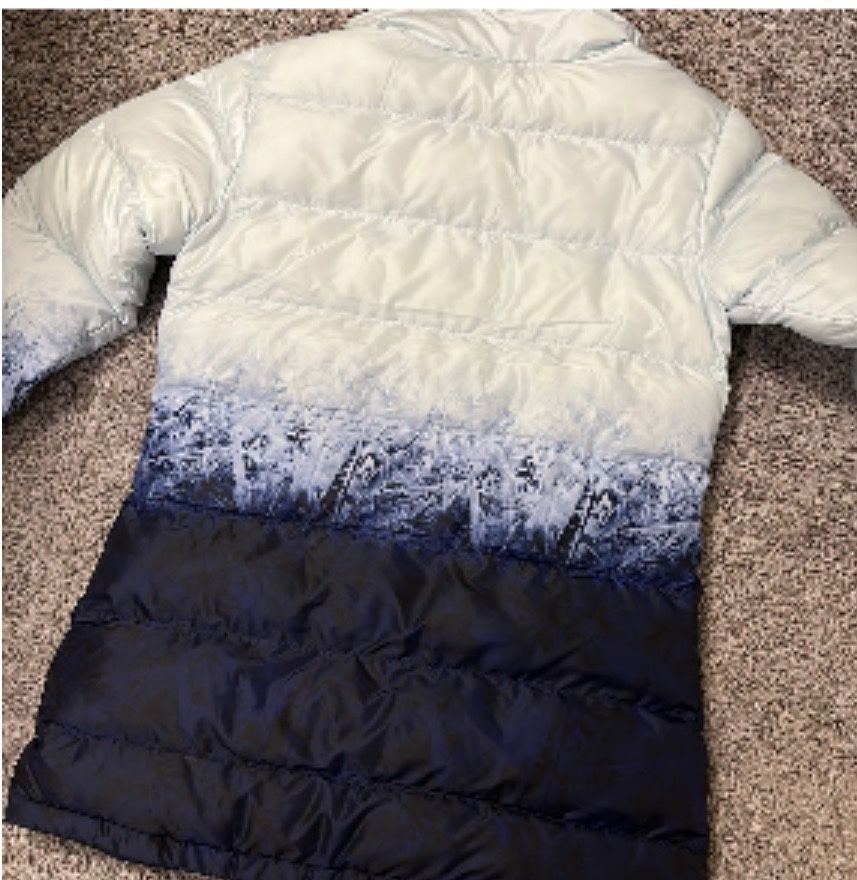 Frozen 2 Columbia jacket