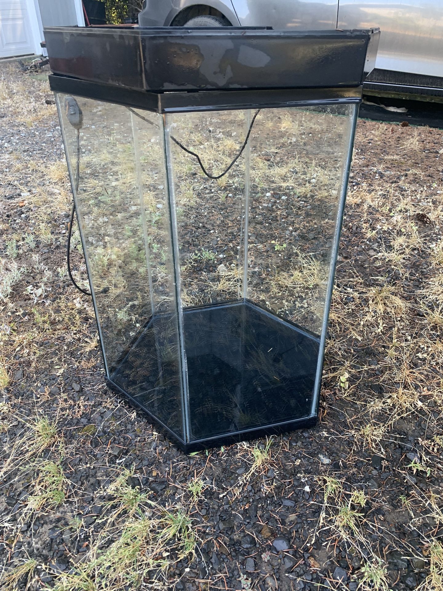 Glass Aquariums